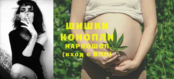 твердый Мегион