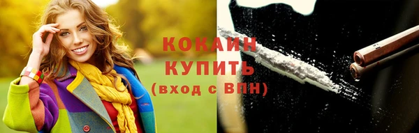 твердый Мегион