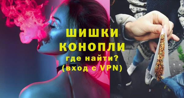 твердый Мегион
