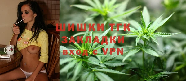 твердый Мегион