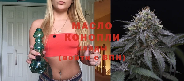 твердый Мегион