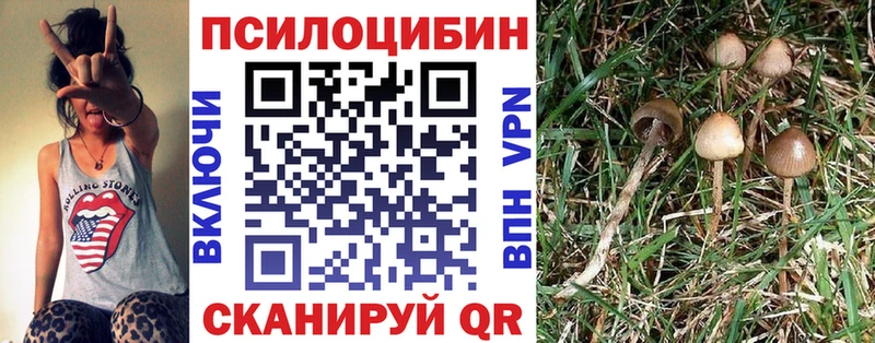 Псилоцибиновые грибы мухоморы  Староминская 